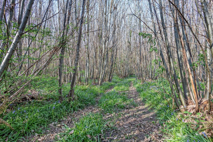 Images for Teston Corner, Teston, Maidstone