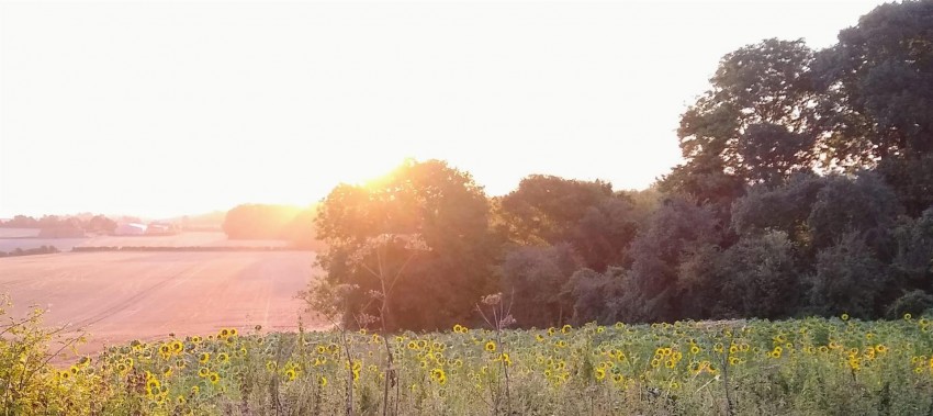 Images for Green Lane, Trottiscliffe, West Malling
